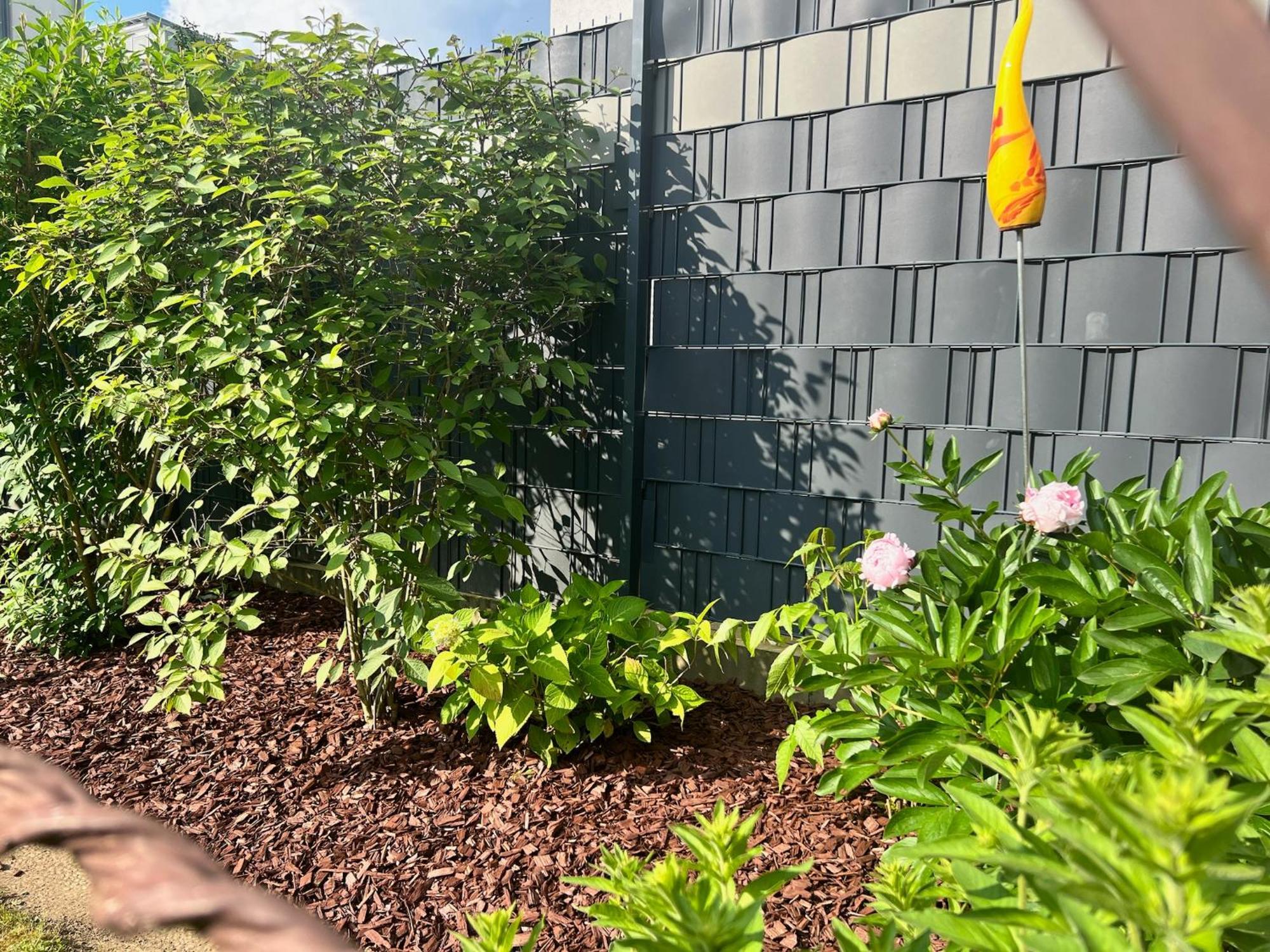 Barrierefreies Ferienhaus Mit Garten Bei Koeln Hürth Exteriér fotografie